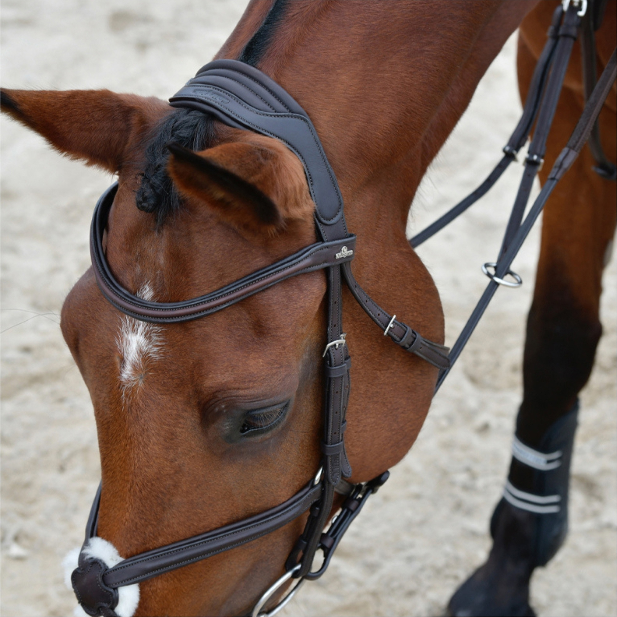 Collegiate Comfitec Opulux Plain Padded Grackle Bridle 102519500 - Dark Brown
